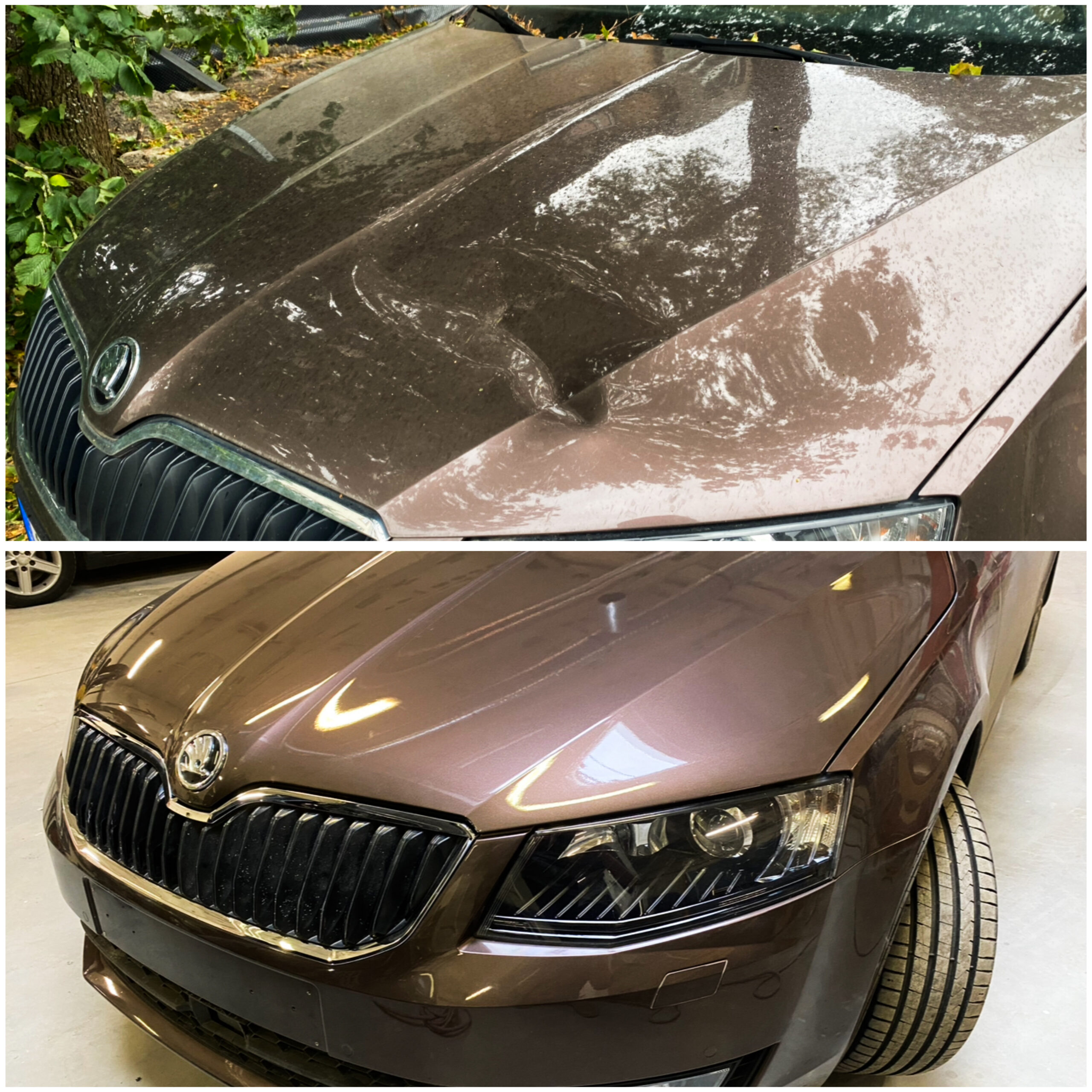 471F4C6A-2245-440A-9ED0-4A15EFFBABCE